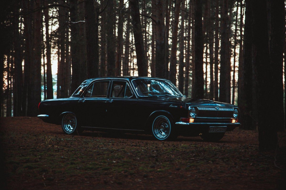 Волга ГАЗ 24