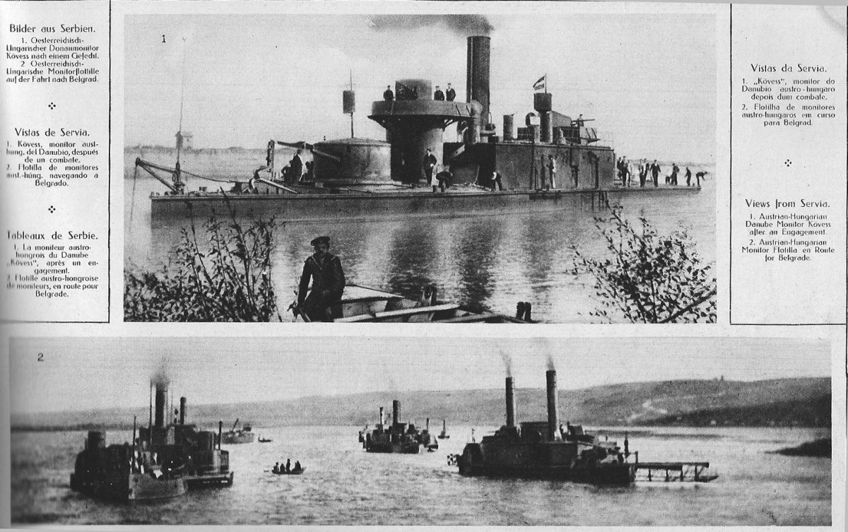 Австро-венгерские мониторы