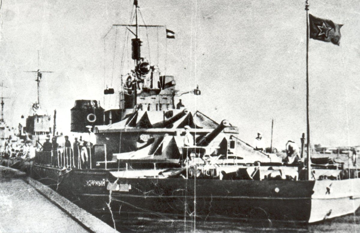 Мониторы Дунайской флотилии ударный