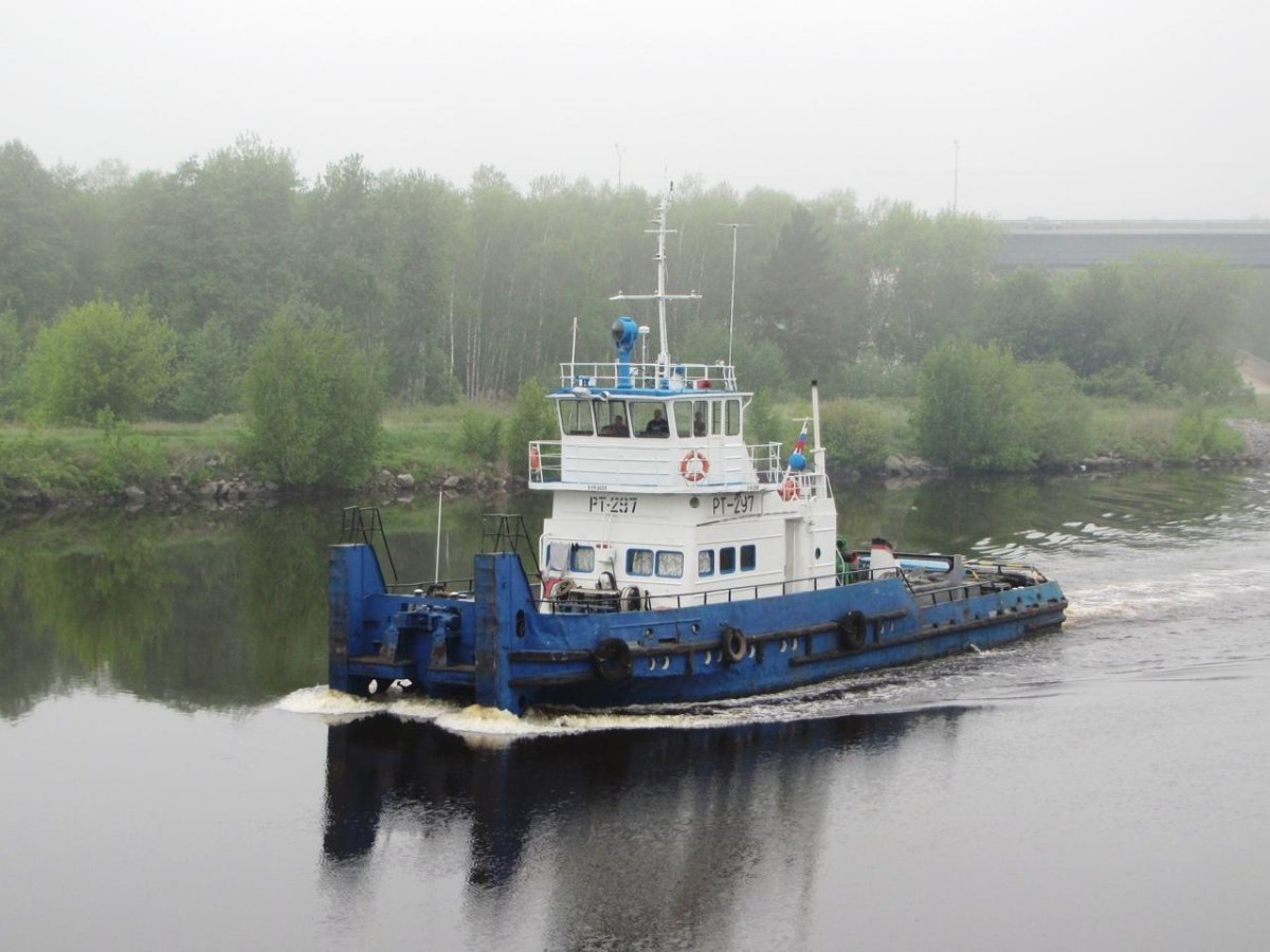 РТ 301 толкач