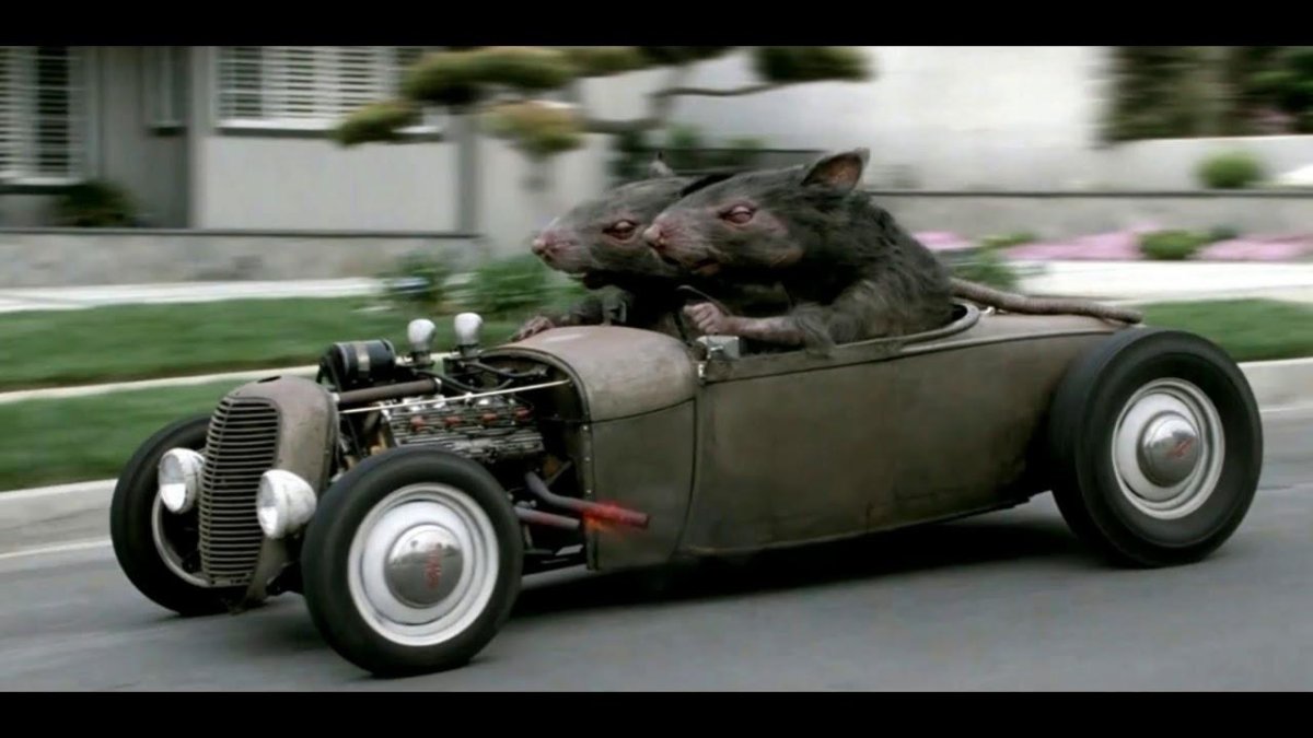 Крыса в машине