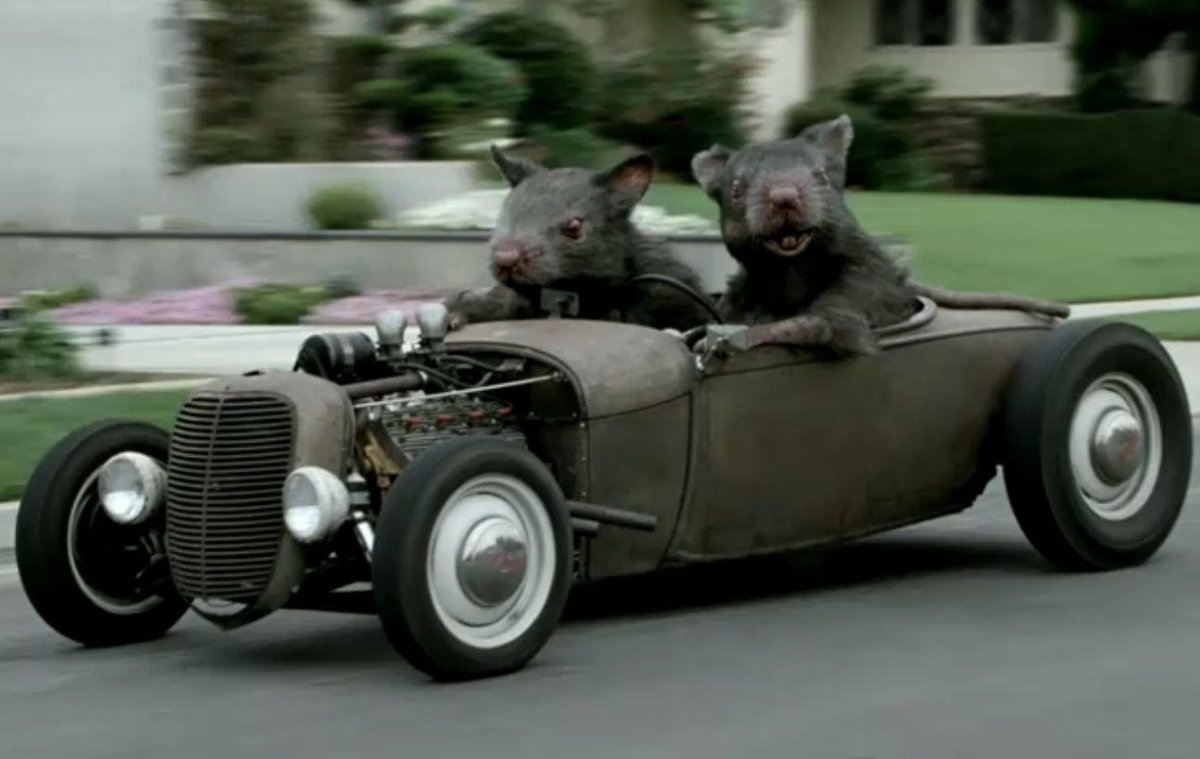 Крыса в машине