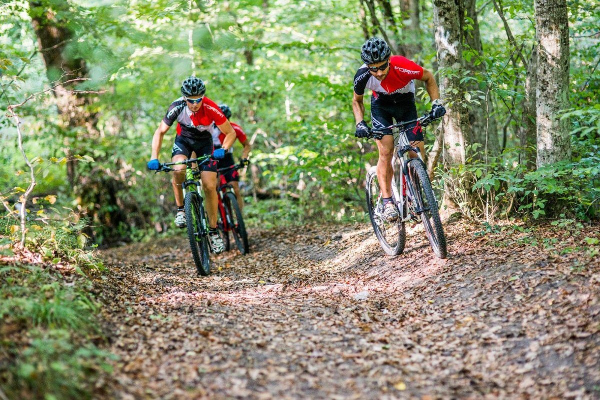 Кросс-Кантри (горный велосипед)