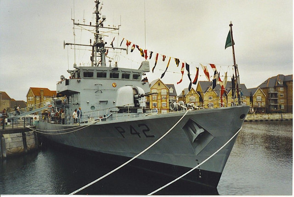 Ирландский флот