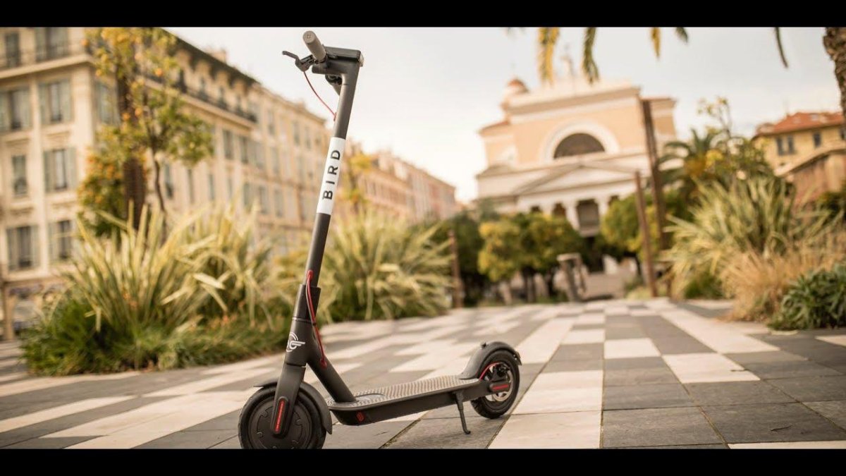 Электросамокат Bird