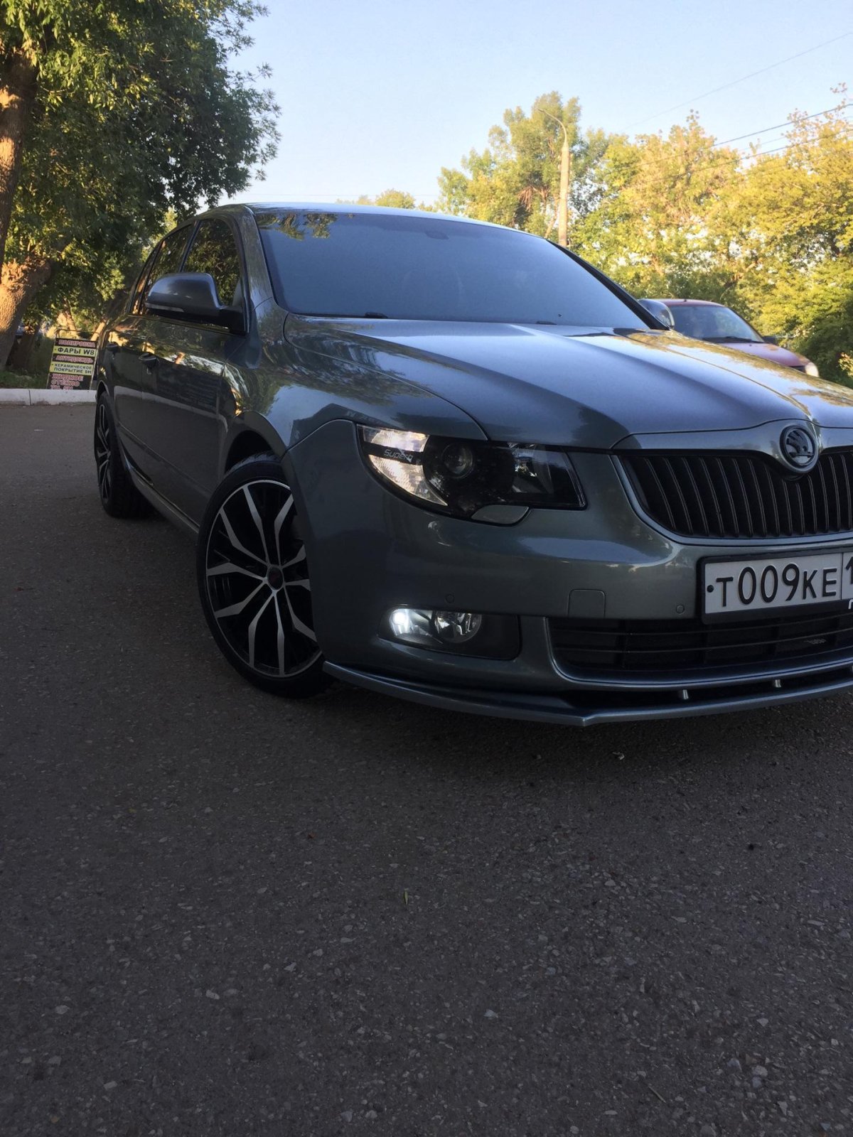 Skoda Superb 2 антихром