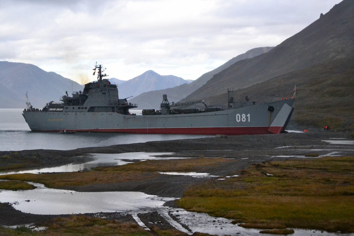 БДК проекта 1171 Николай Вилков