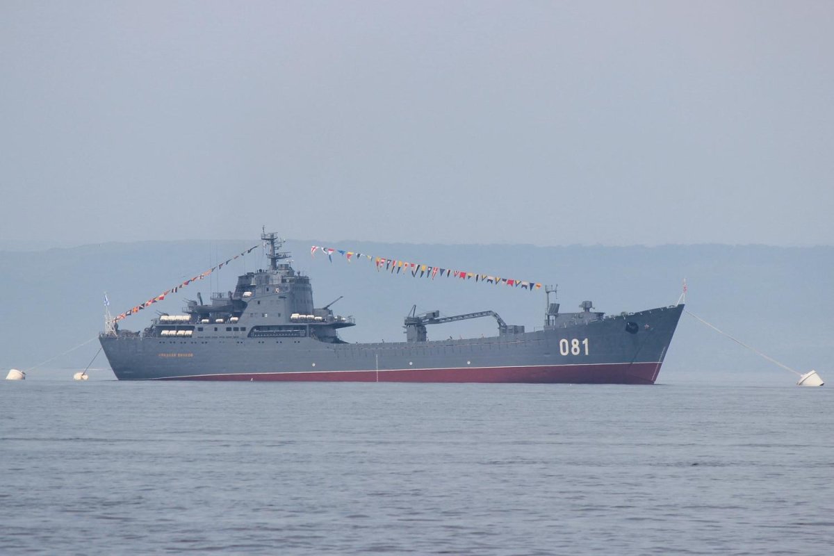 БДК Николай Вилков