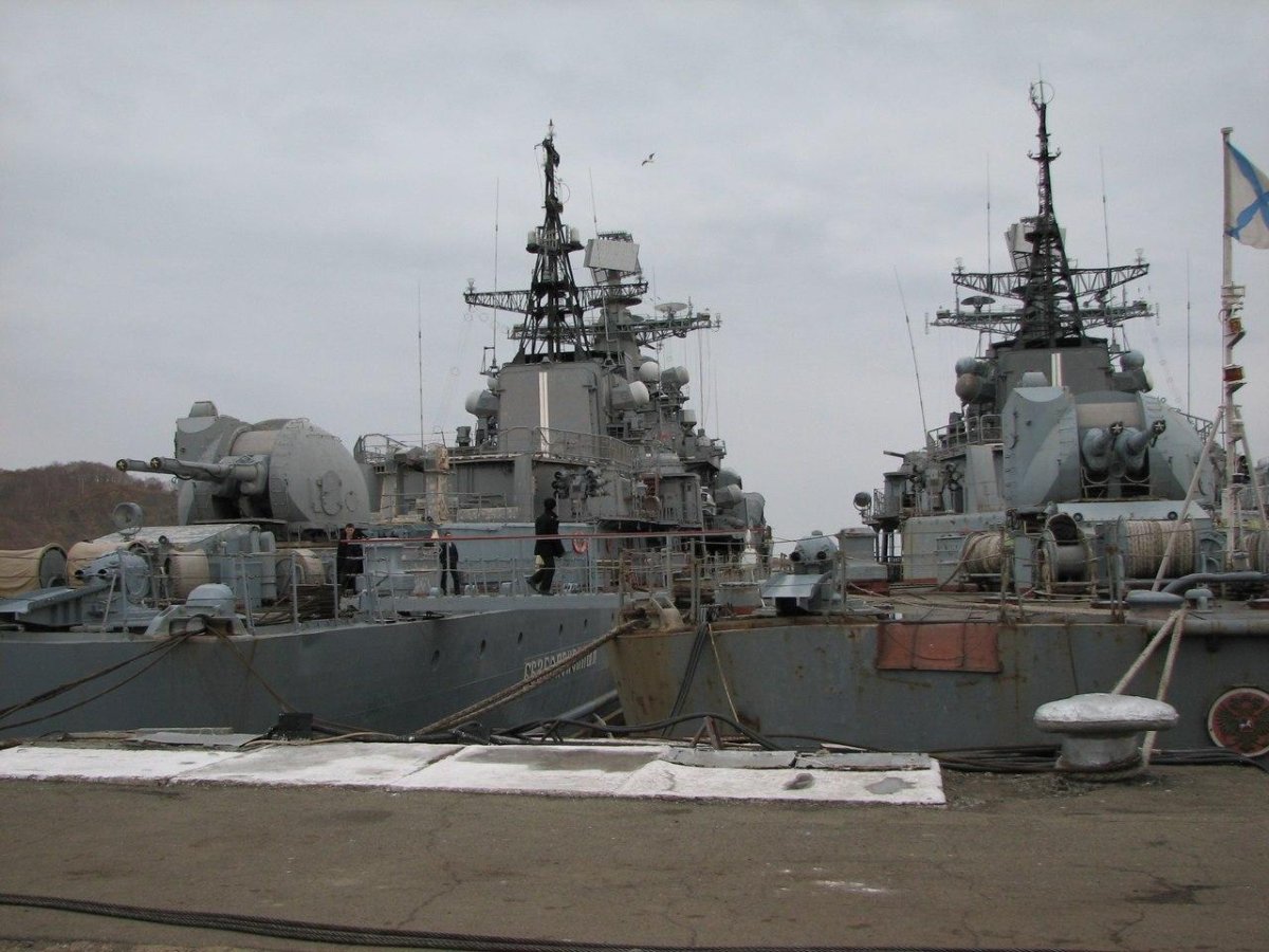 Эм "Безбоязненный" проекта 956