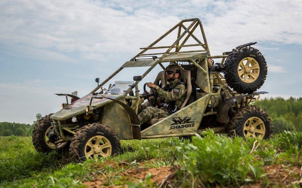 Багги Чаборз м-3