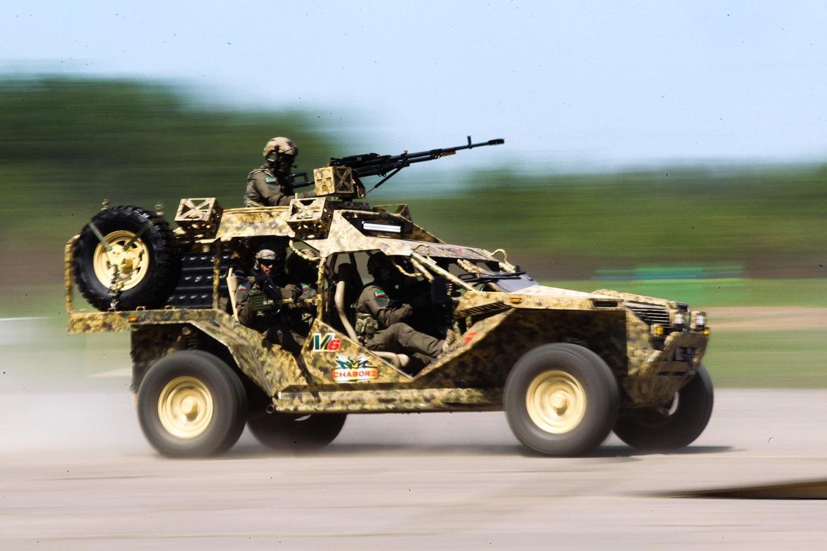 Багги Чаборз м-3