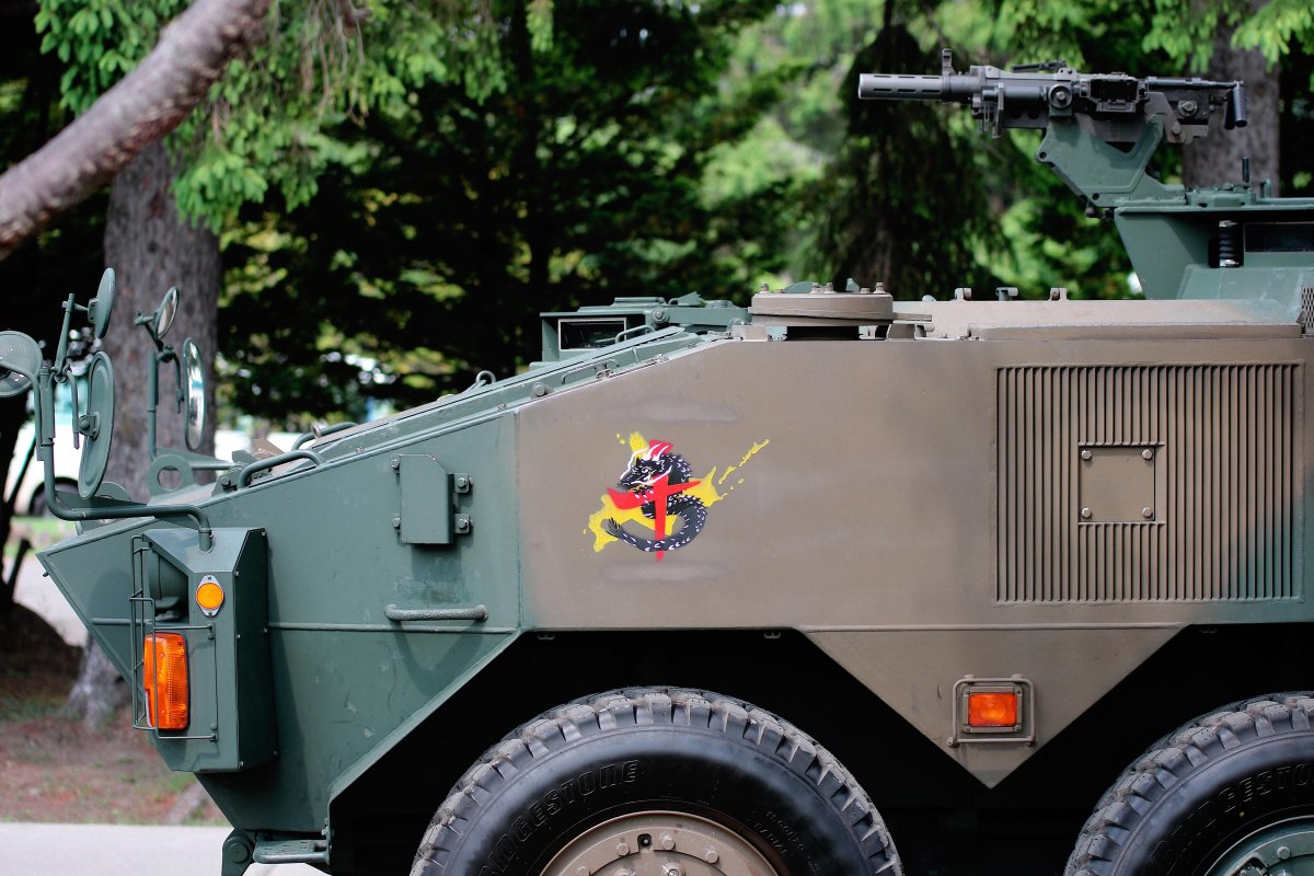 Japan ground self-Defense Force