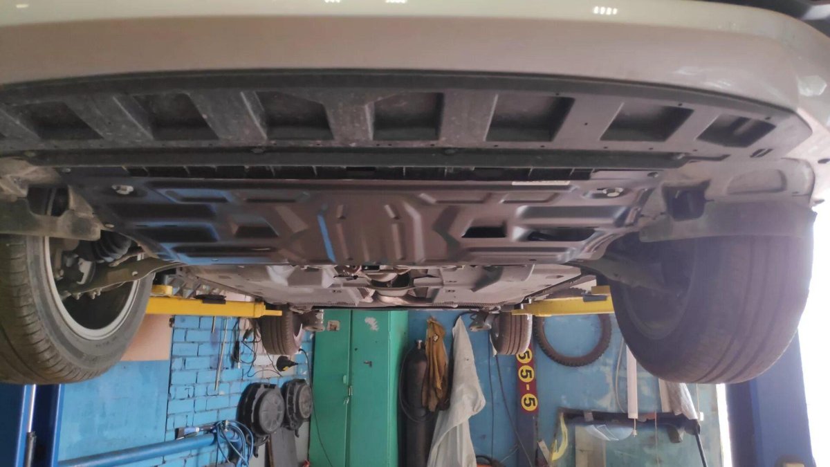 Защита картера Рапид