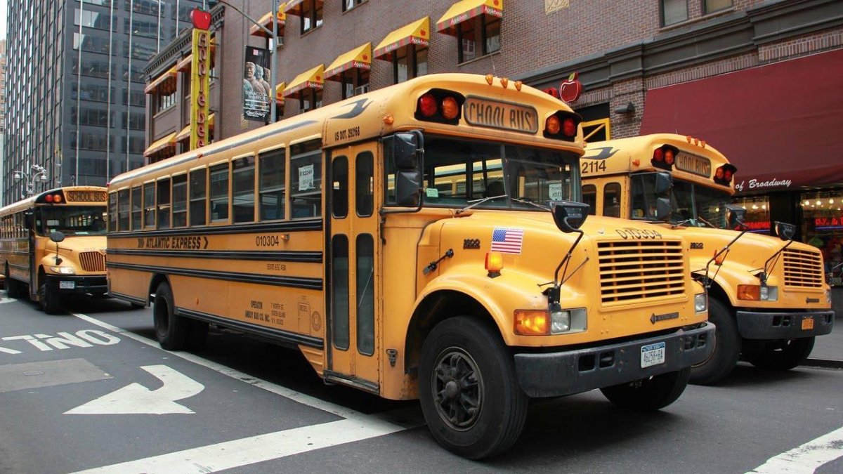 Школьный автобус