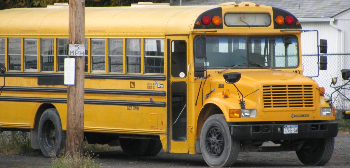 Школьный автобус International 3800