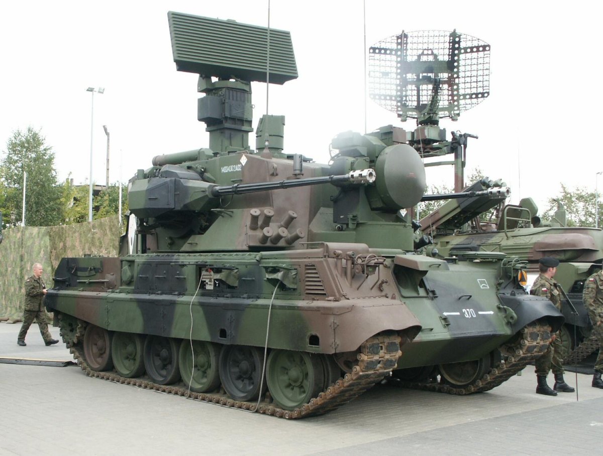 Польская ЗСУ Loara