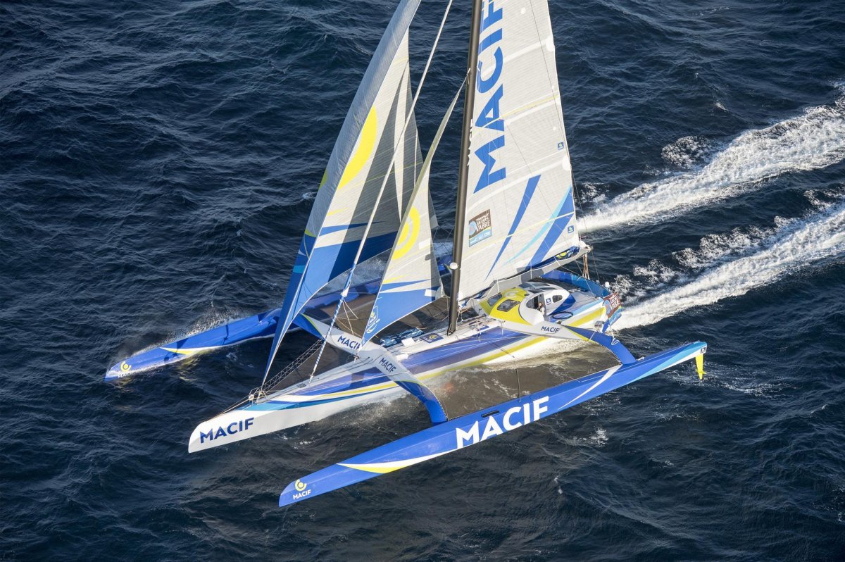 Тримаран Вильямс 44