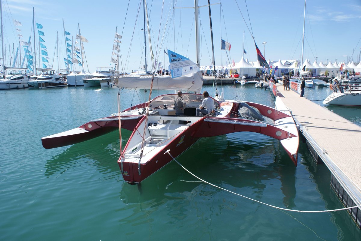 Тримаран Вильямс 44