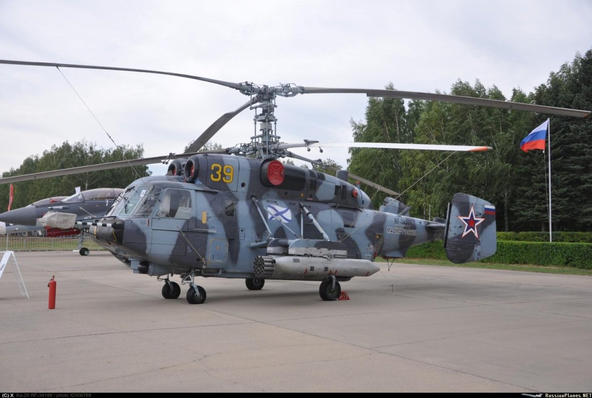 Камов минога