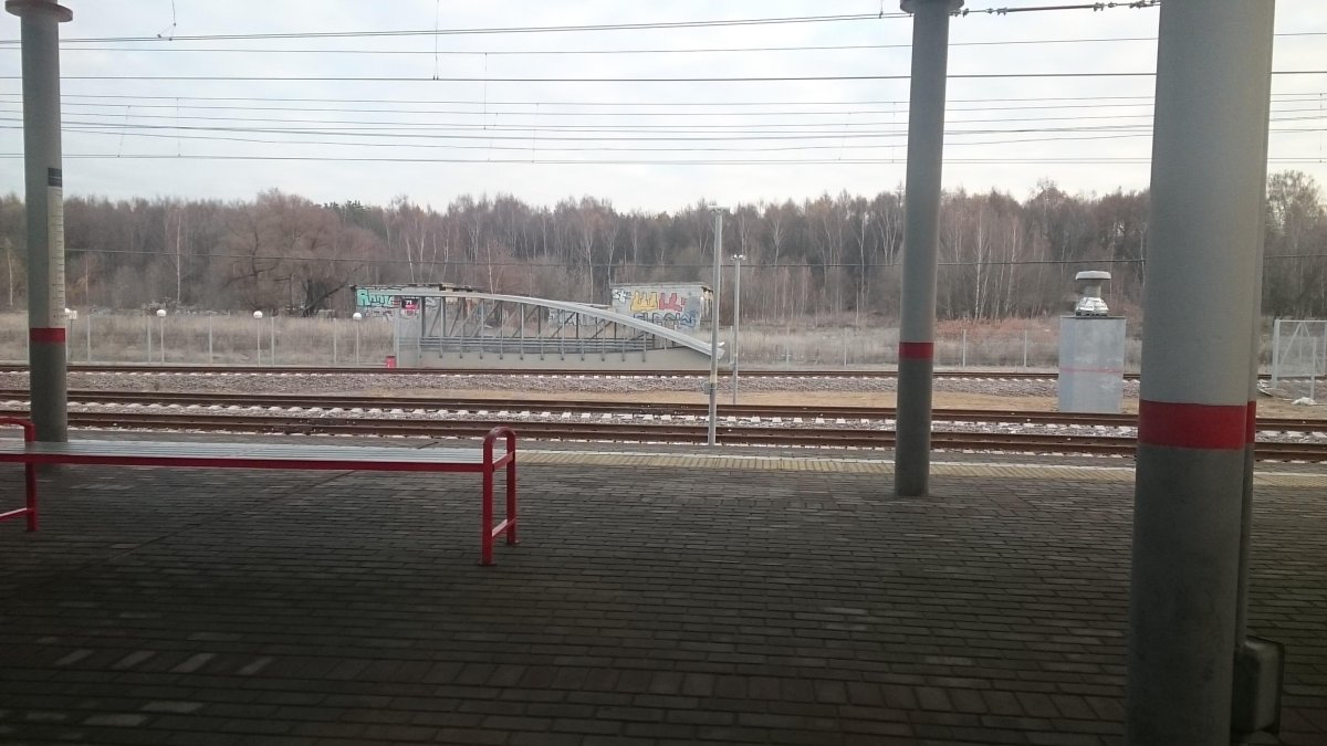 МЦК Белокаменная вход в лес