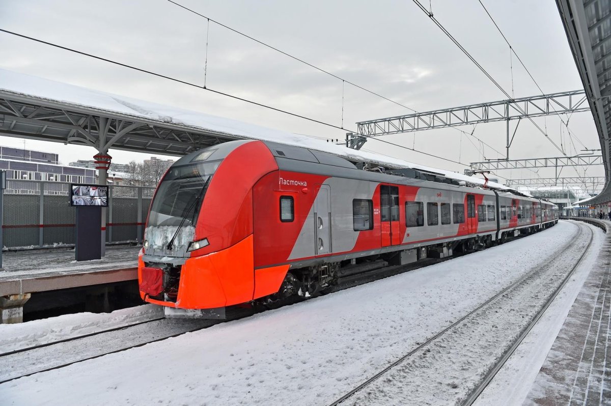 Ласточка поезд Курский вокзал