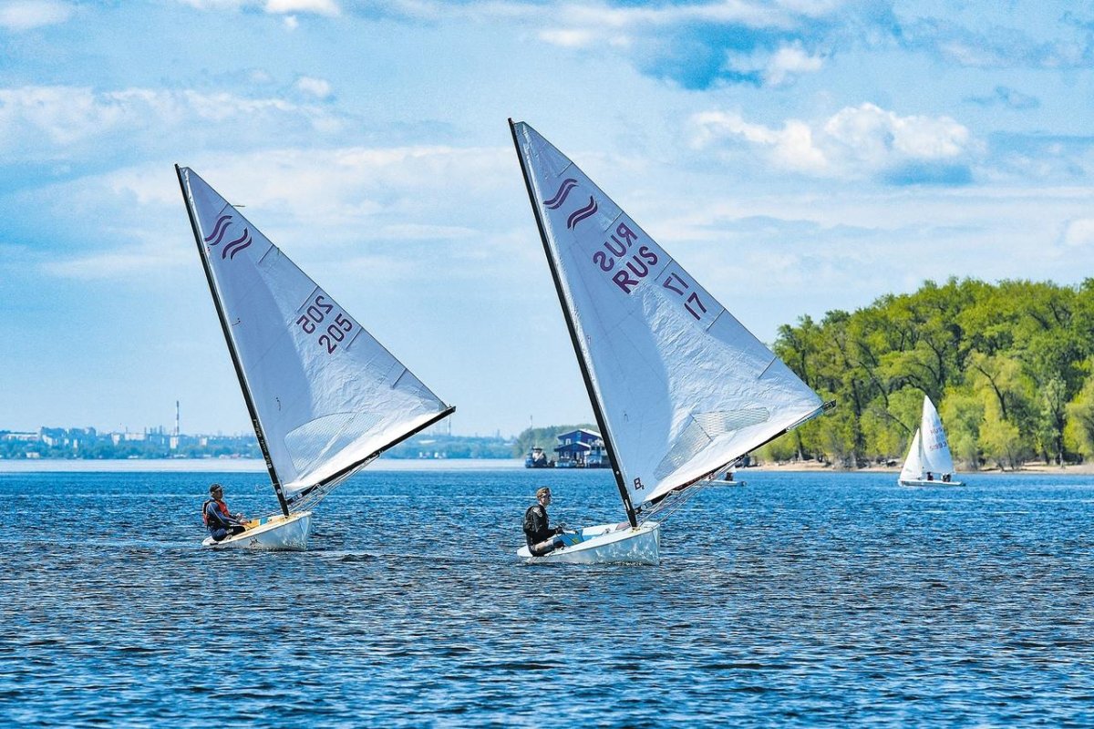 Парусная регата