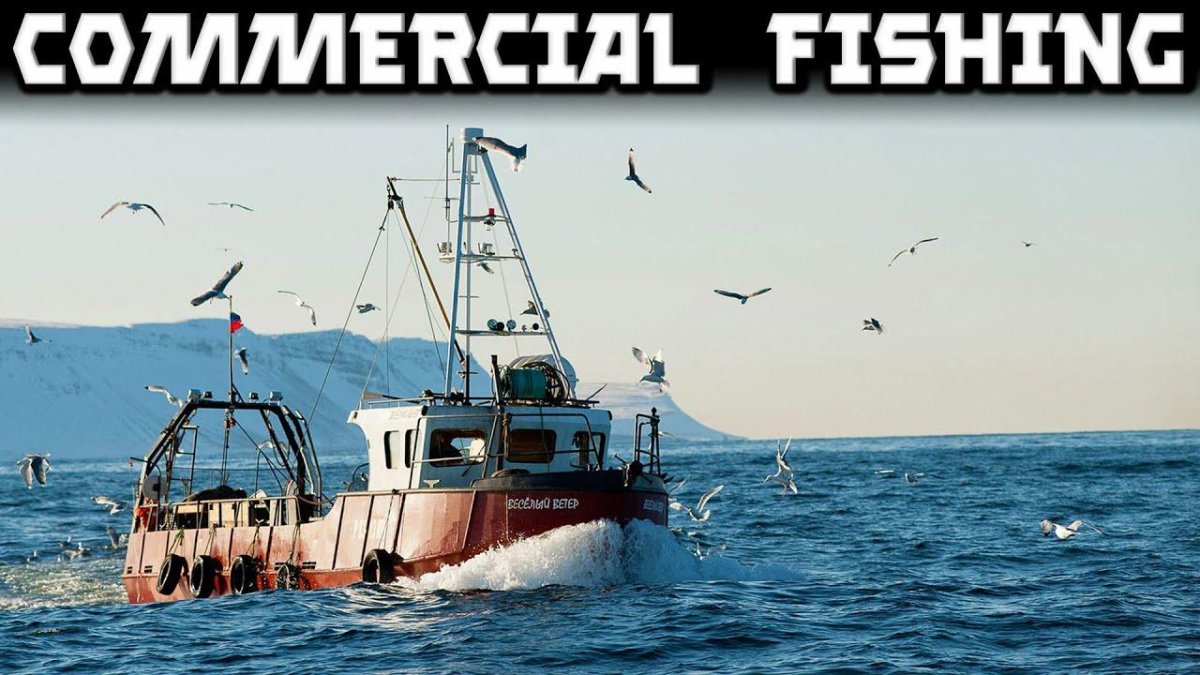 Рыболовное судно Териберка Мурманск