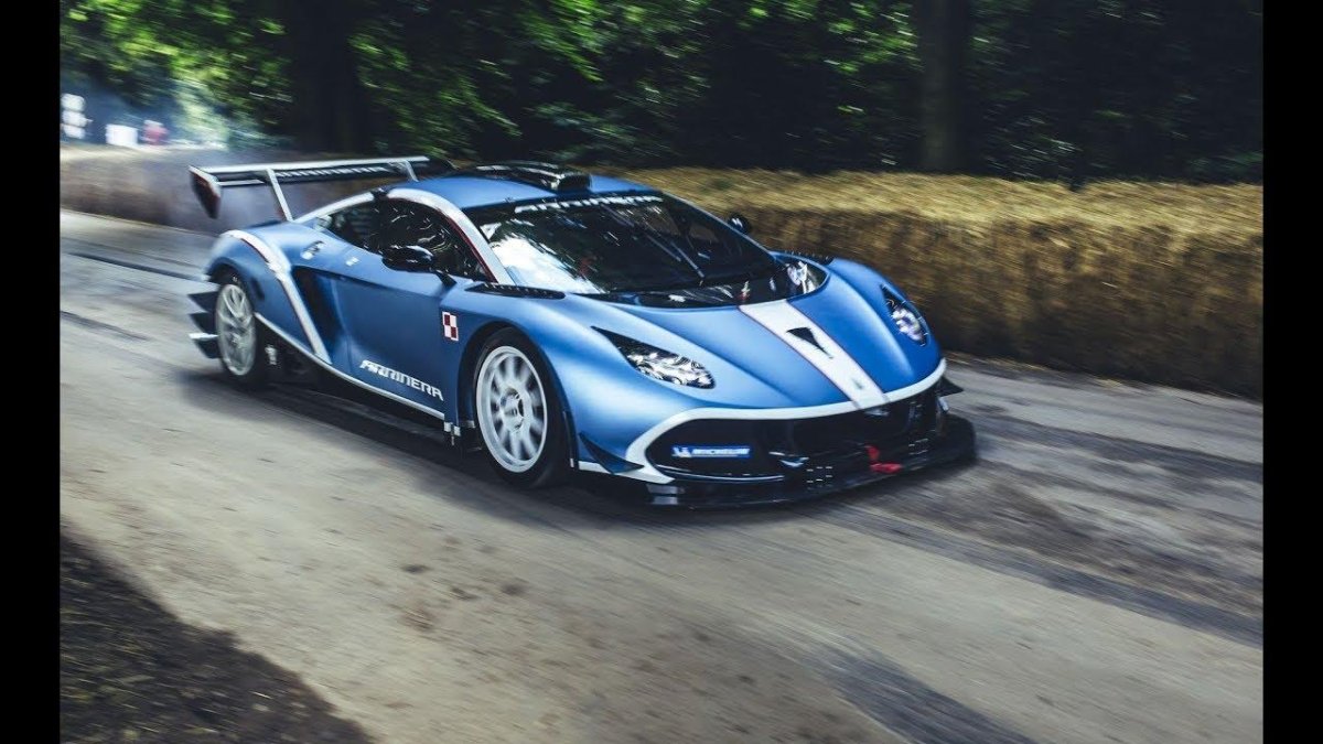 Arrinera Hussarya gt