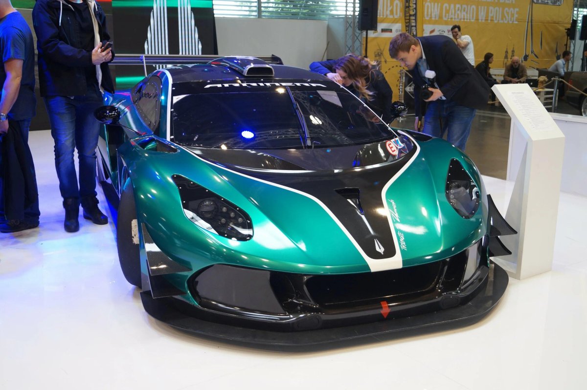 Arrinera Hussarya gt