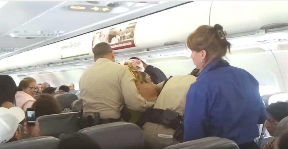 Самолет с пассажиром