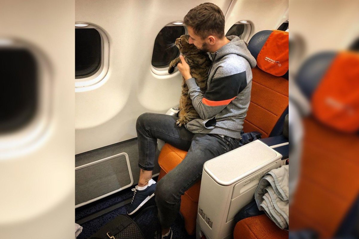 Самолет с пассажиром