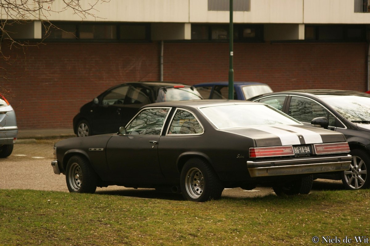 Buick Skylark 1975