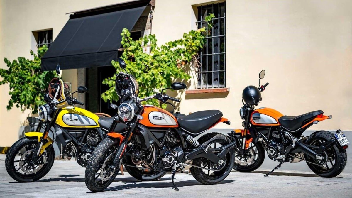 Ducati Scrambler 800 icon