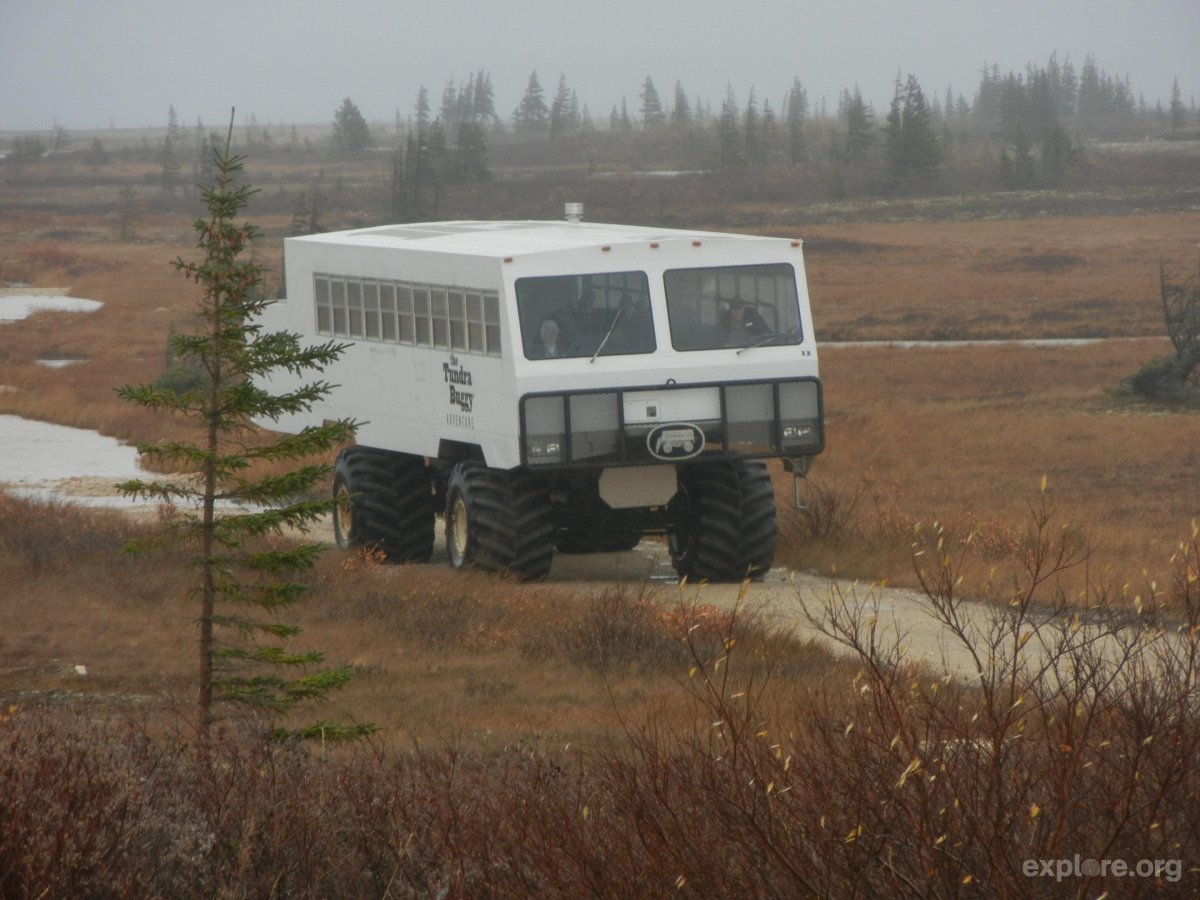 ПАЗ вездеход 4х4