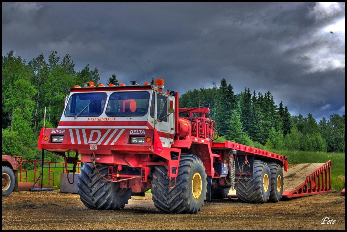 Формост хаски 8