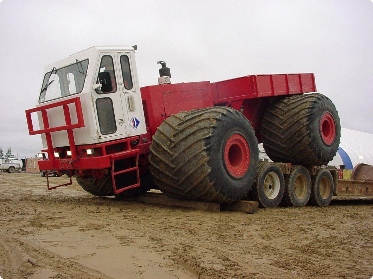 Формост хаски 8