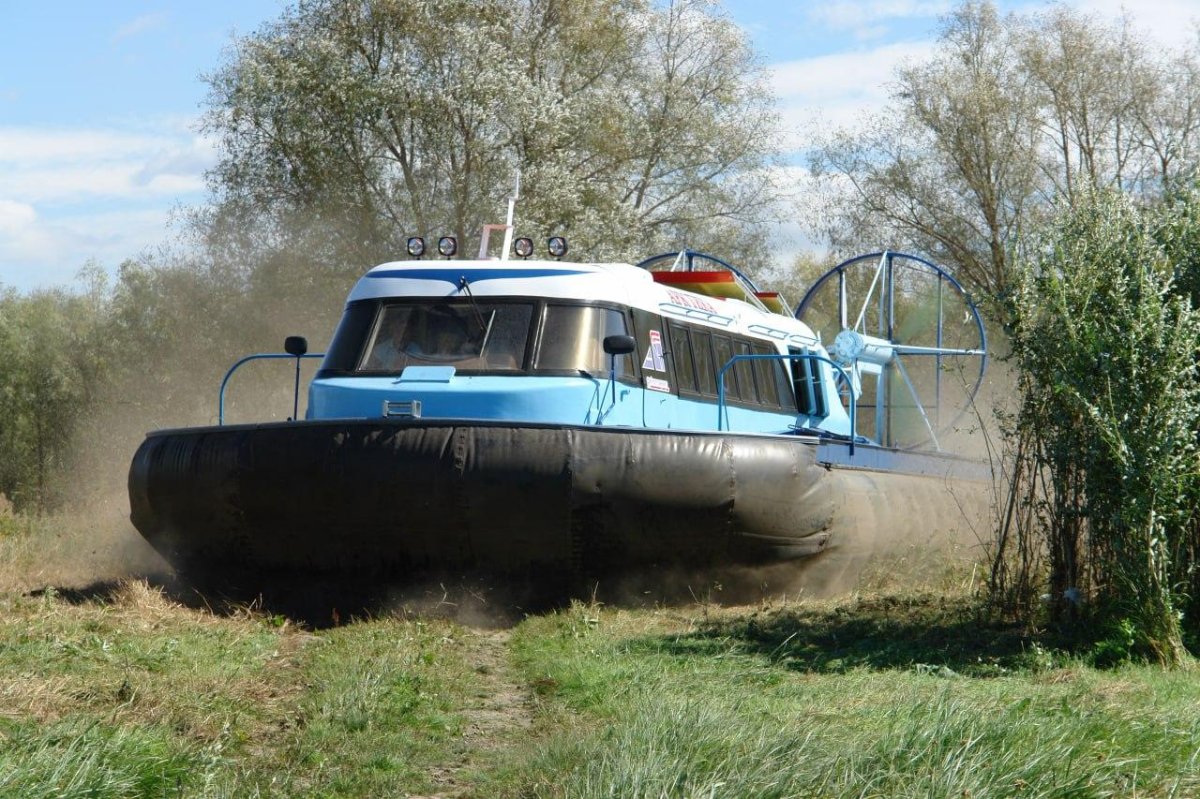 СВП Арктика 3д