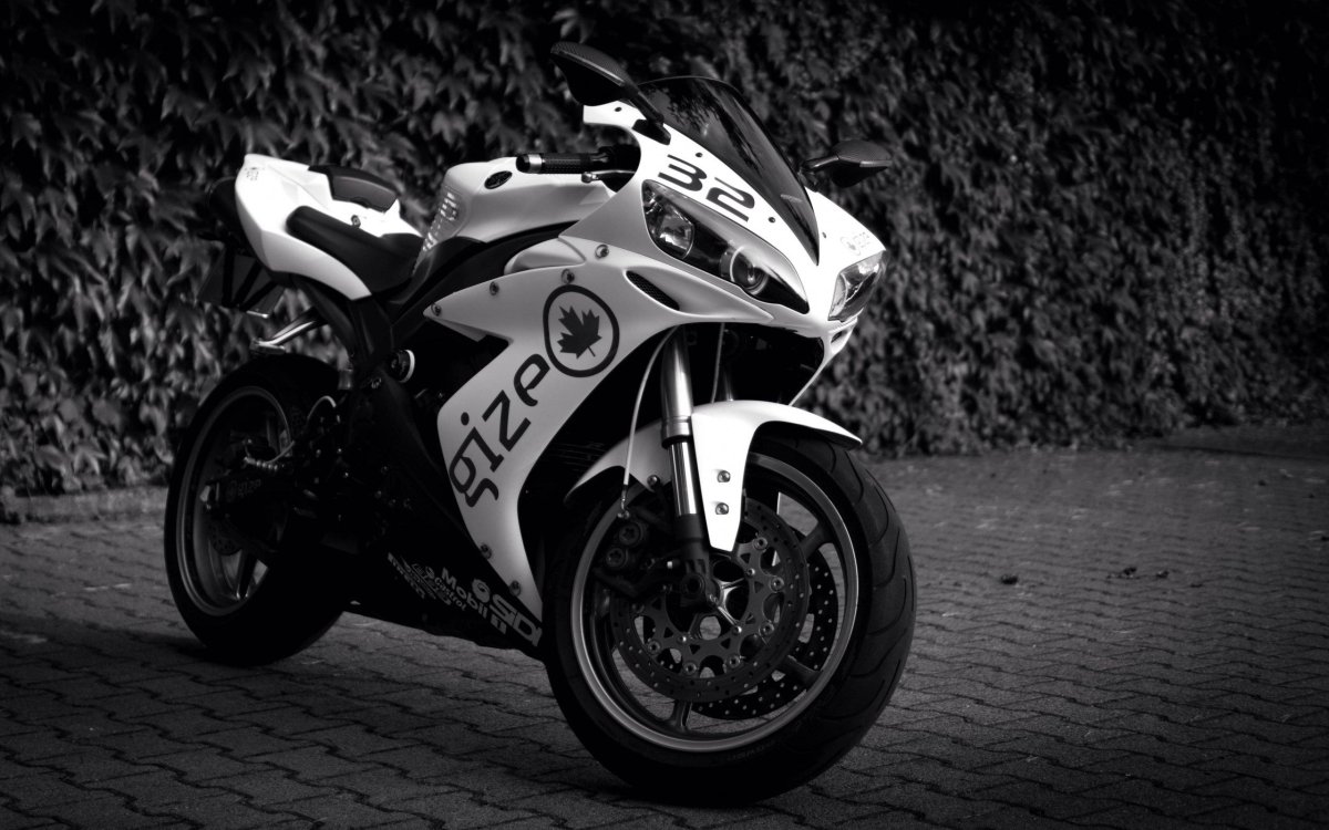 Yamaha r1 White