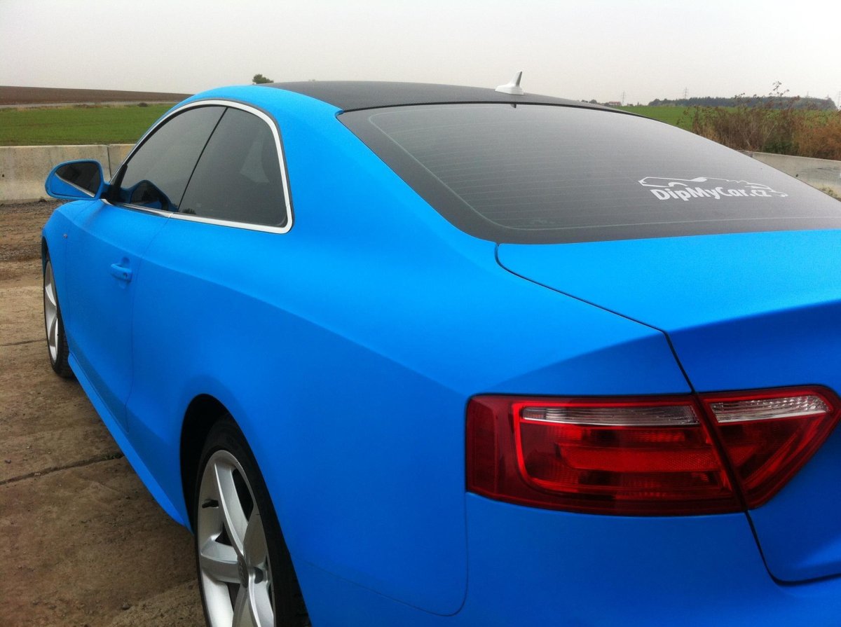 Синий Раптор