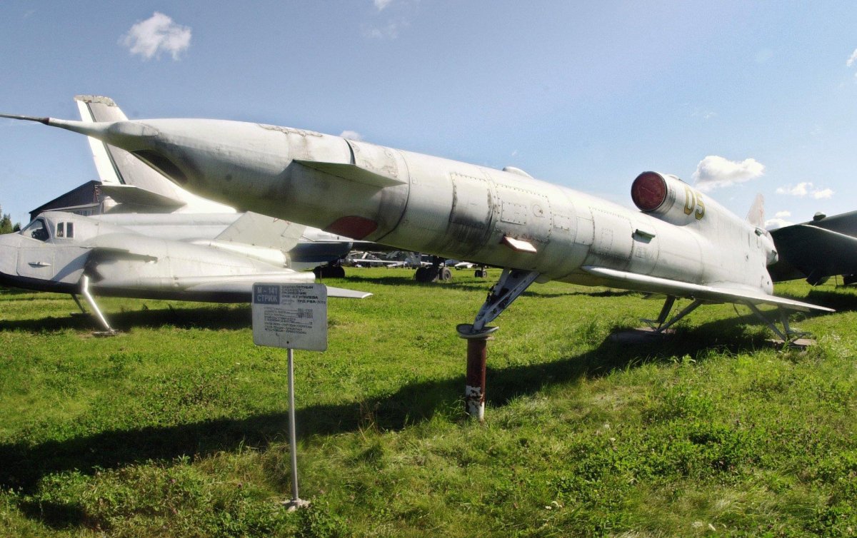БПЛА Стриж ту-141