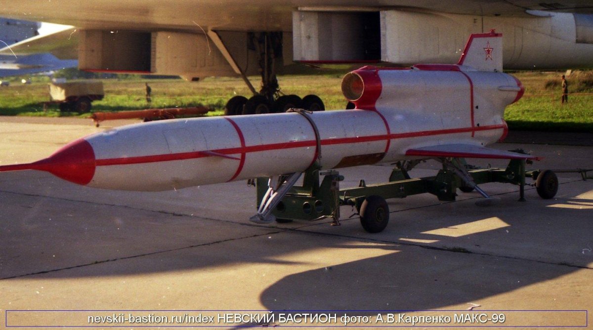 Беспилотник ту 143 Стриж