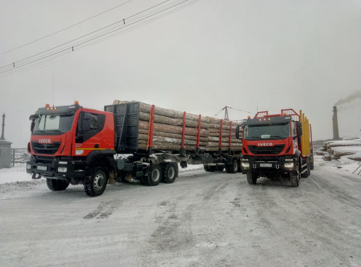Ивеко Траккер лесовоз
