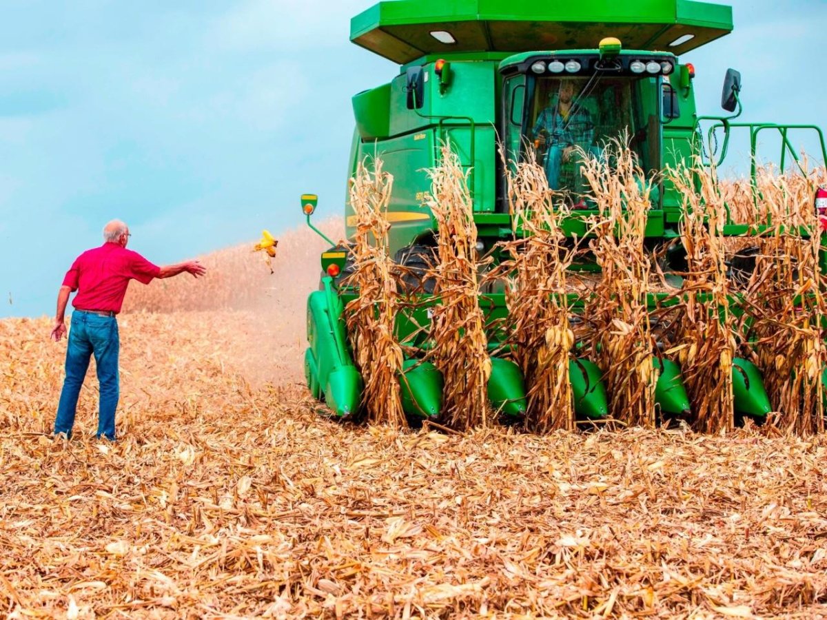 Уборка урожая