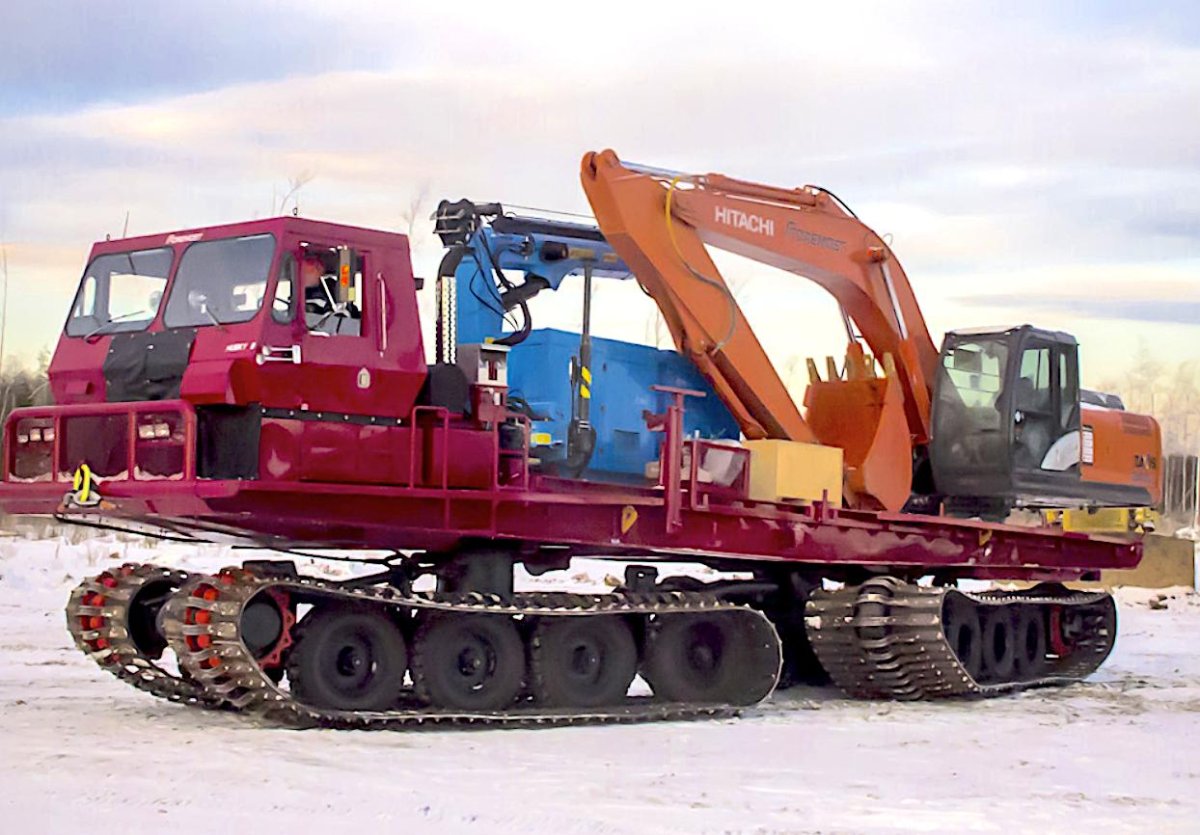 Формост хаски 8