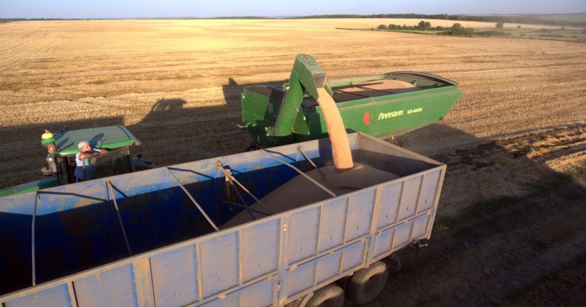 Лилиани бункер перегрузчик