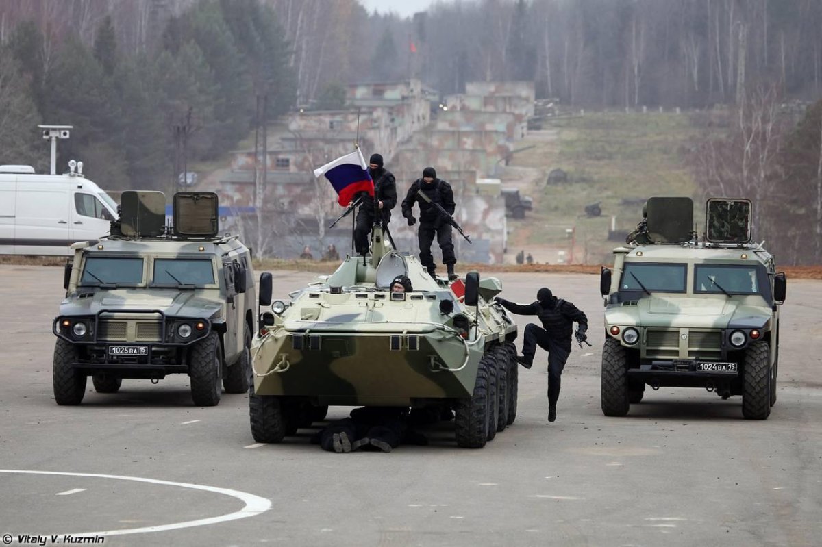 Тигр и БТР 80