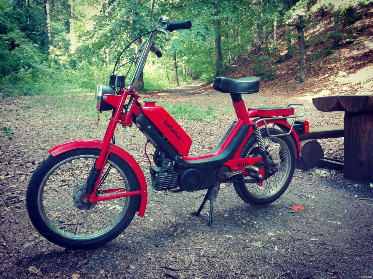 Ява Пионер 50