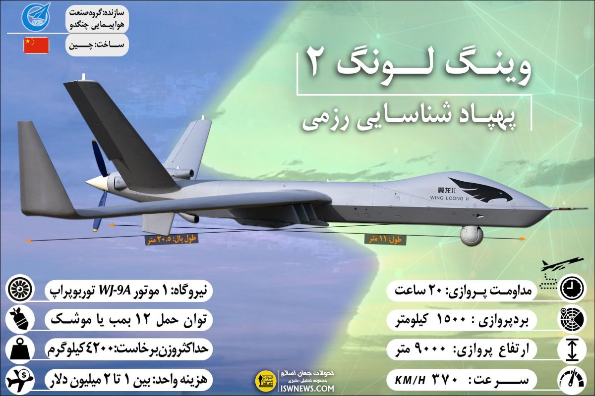 БПЛА Винг Лунг 2