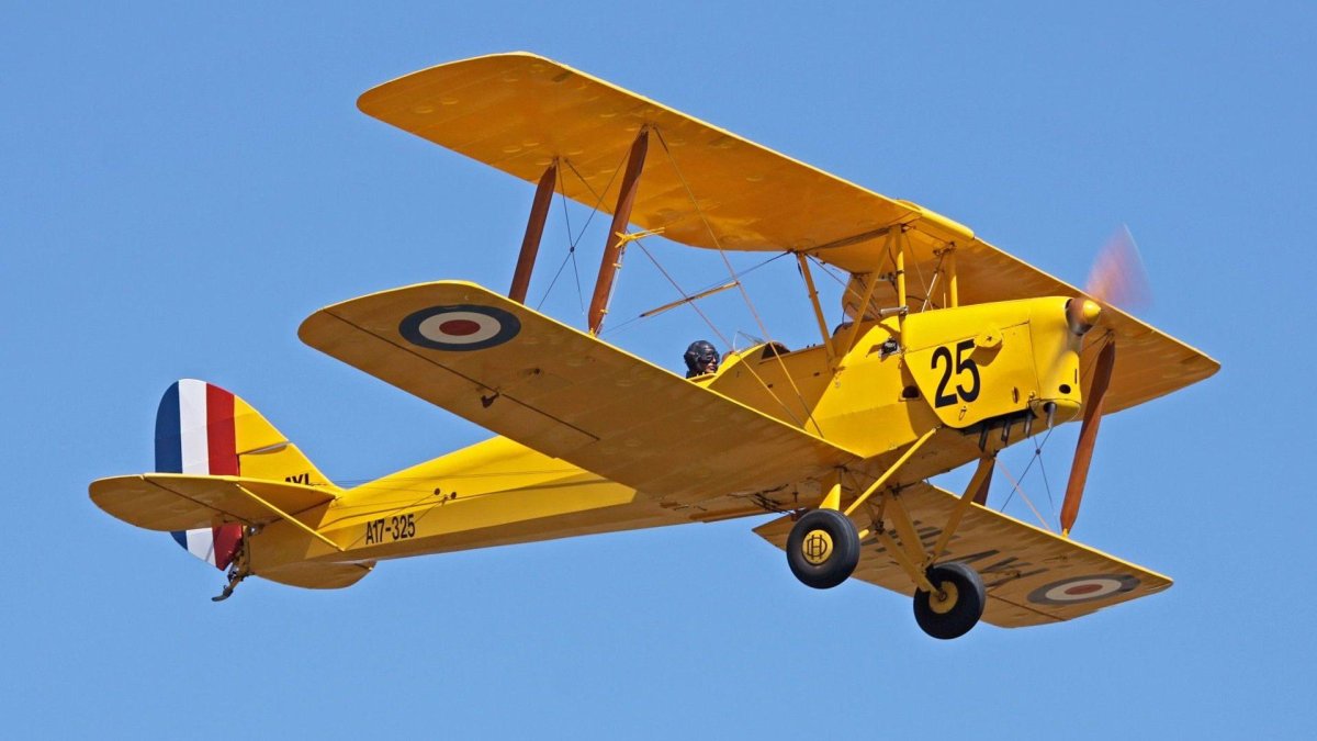 Тайгер мот самолет