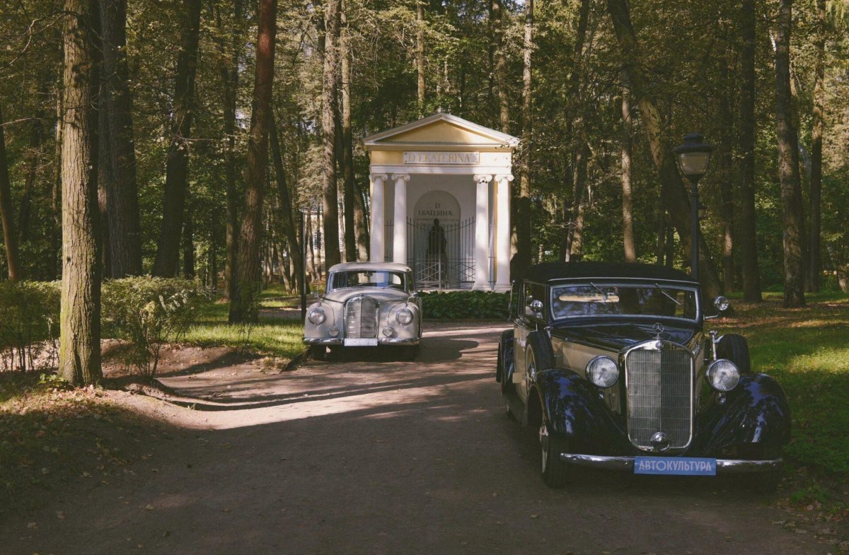 Автокультура в Архангельском 2021